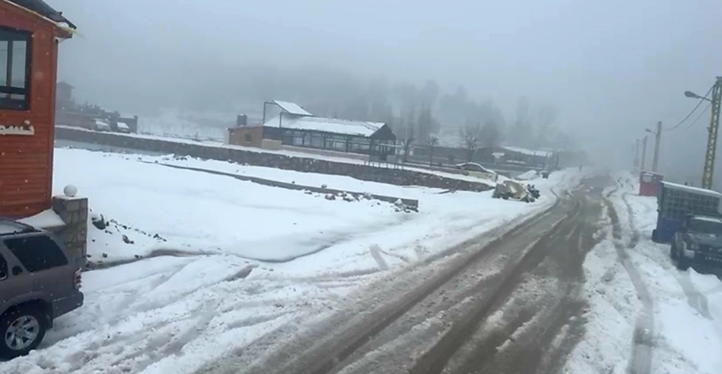 في الشمال... صيف وشتاء في أواخر كانون الثاني (صور)